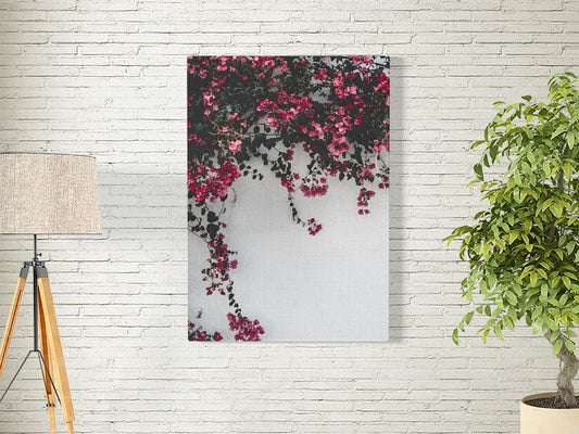 Bougainvillea Plant | AST-12 | POSTER